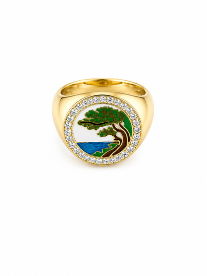 The Carmel Coast Ring